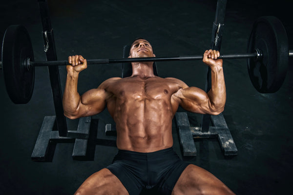 Bench Press : Dissecting an Overrated Upper Body Exercise