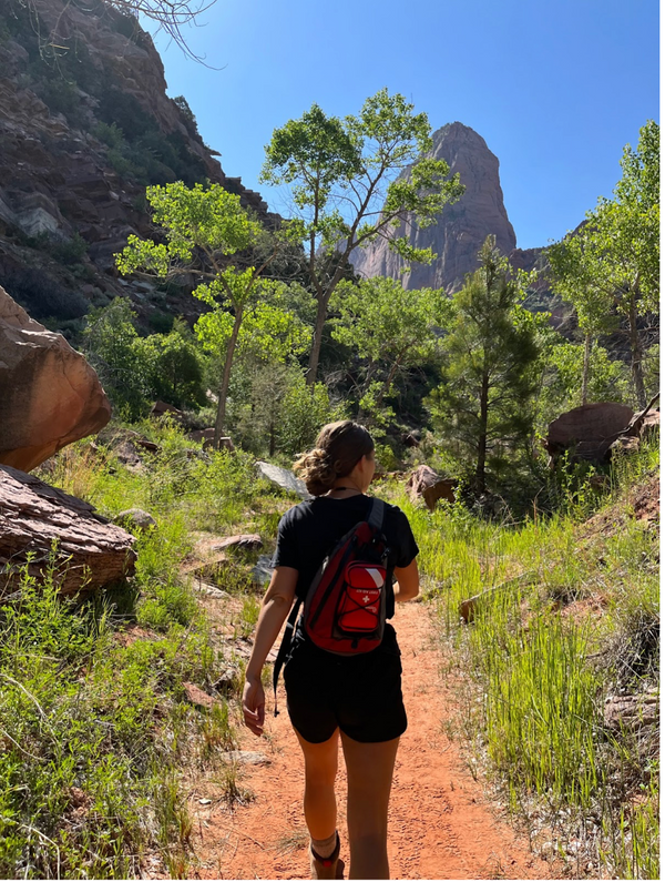 Regenerate with Nature: The Healing Potential of Getting Outdoors