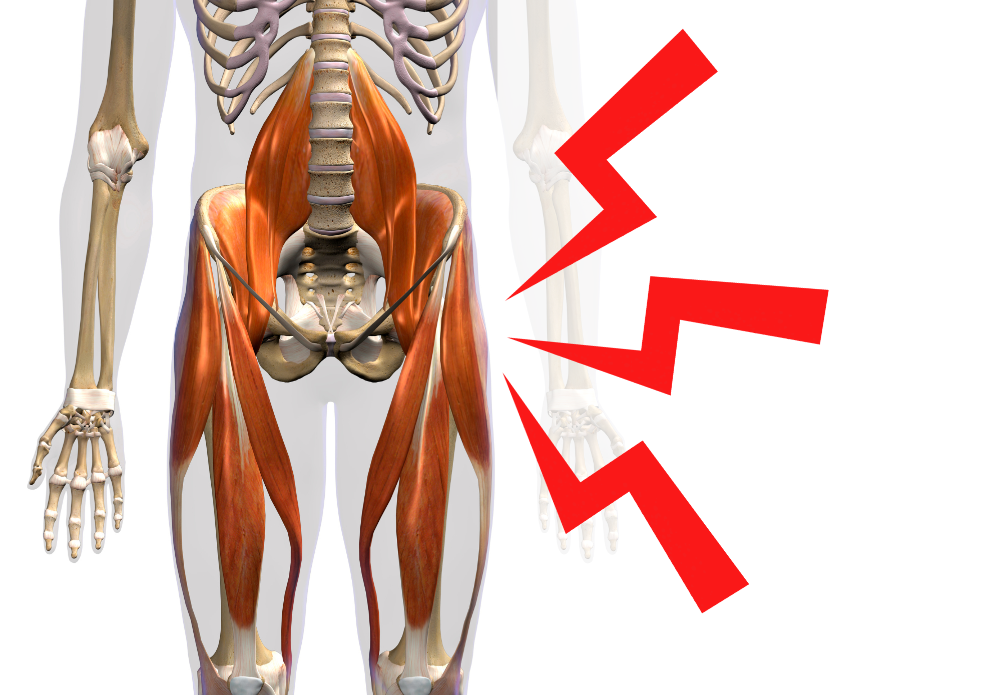 Addressing General Hip Flexor Pain in Everyday Life – Functional