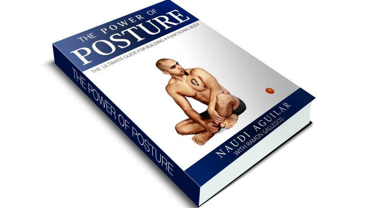 Power Of Posture E-Book