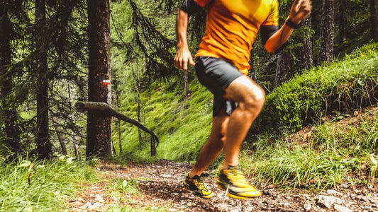 Off the Beaten Path: Exploring the Challenges and Evolutionary Perspectives around Trail Running