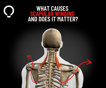 What Causes Scapular Winging And Does It Matter? – Functional Patterns