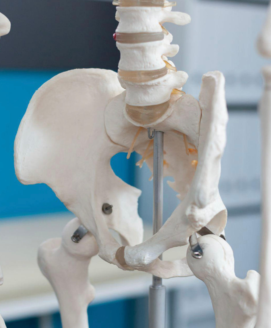 How to Fix an Anterior Pelvic Tilt