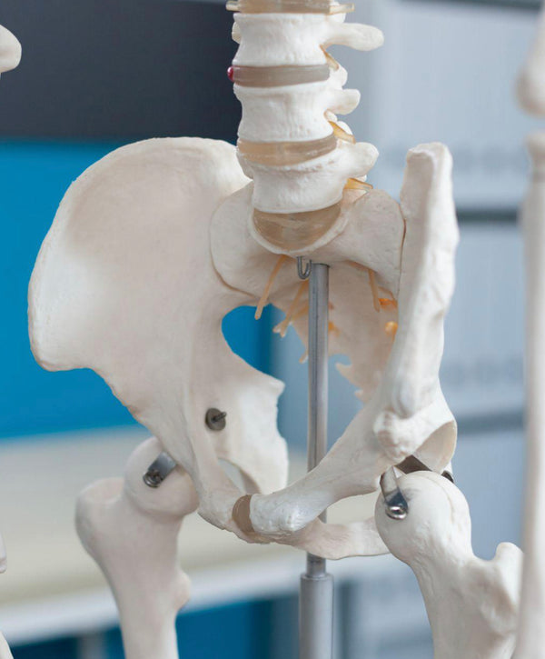 How to Fix an Anterior Pelvic Tilt