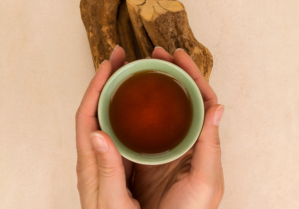 Ayahuasca: Spiritual Teacher or Serious Toxin?