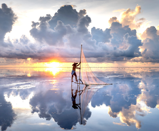 How Sunlight Powers Your Energy