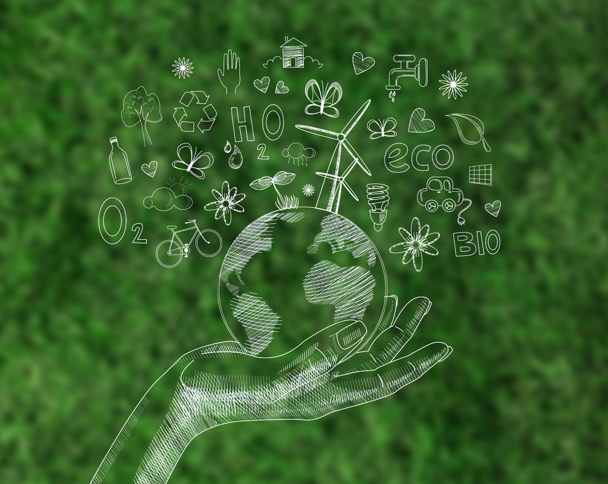 The Role of Regenerative Practices in Sustaining Our Planet