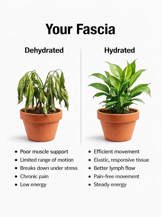 Why Elasticity Matters More Than Flexibility