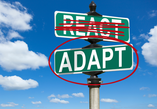 Adapting to Thrive: Tools and Perspectives for an Adaptive Mindset