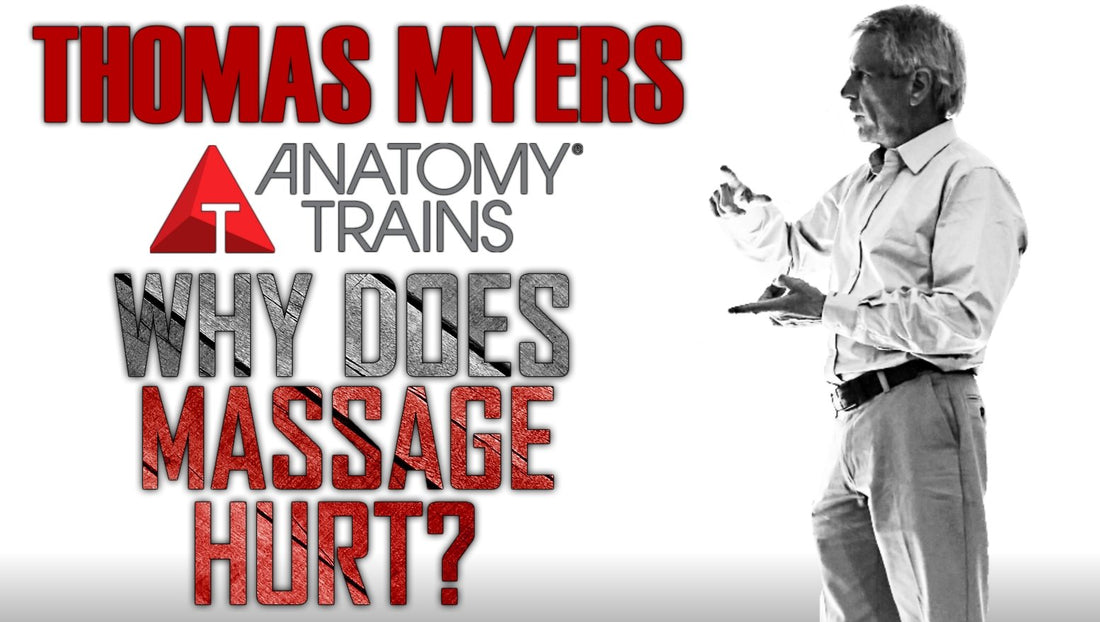 Thomas Myers - Why does Massage Hurt?