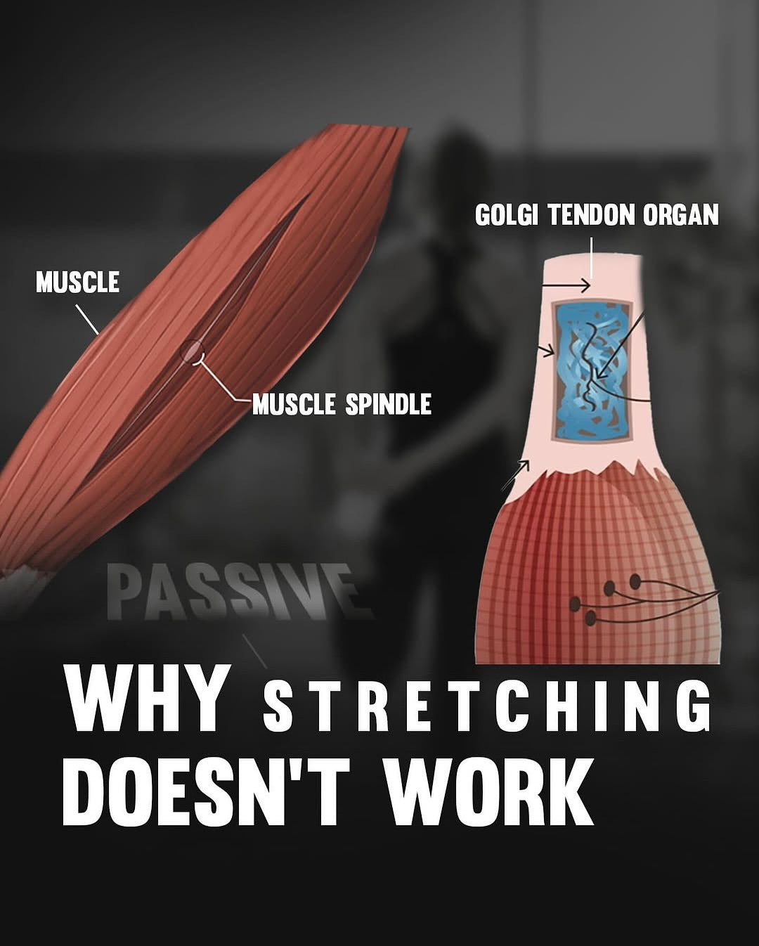 Why Stretching Gets it Wrong, and How to Get it Right