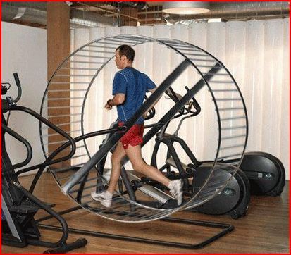 The Fitness Hamster Wheel